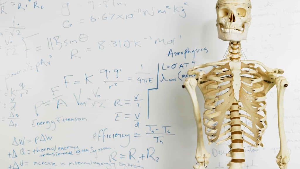 Free HESI A2 Anatomy and Physiology Practice Test