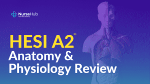 HESI A2 Anatomy Course Featured Image